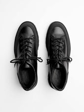The Hybrid Hiker