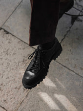 The Hybrid Hiker