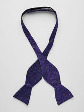 Bow Tie Paisley