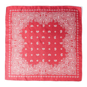 Paisley Silk Scarf