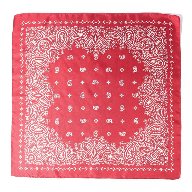 Paisley Silk Scarf