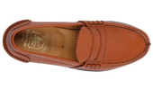 Arran 1407/55 - Ivywood Grain