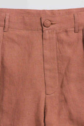 Rust Wide Pleated Pants