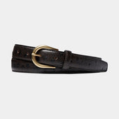 Brown Belt