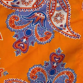 Paisley Print Swimming Shorts In