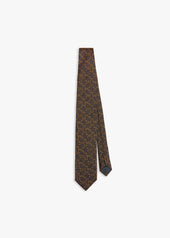 AARISTIDE SILK TIE