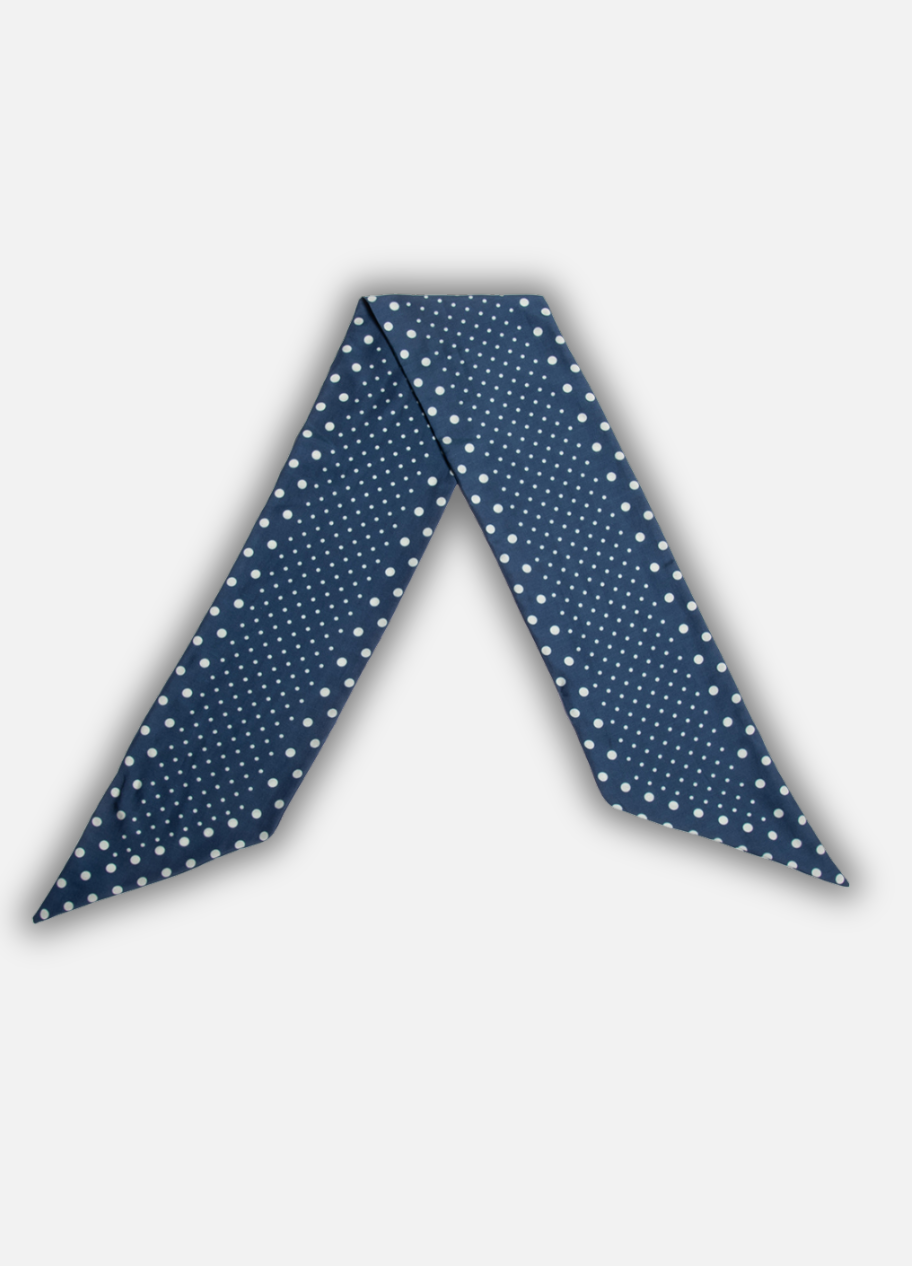 Aarvier Silk Scarf