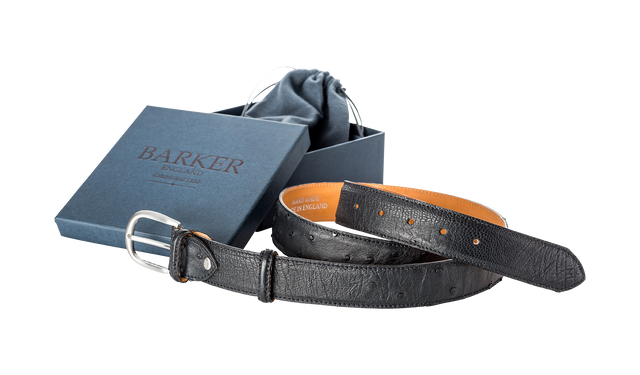Plain Belt - Black Ostrich