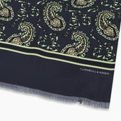 Paisley Silk Lawton Scarf