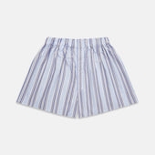 Pale Blue and Yellow Multi Stripe Cotton Godfrey Boxers