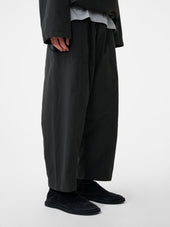 Ashi Pant In Coal
