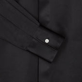 Point Collar Silk Shirt
