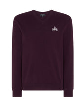 007 Logo V Neck Cashmere Jumper Purple