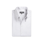 One Piece Collar Shirt in Green Stripe Oxford