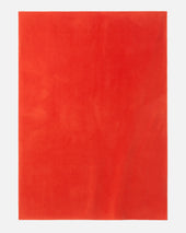 Fleece Blanket
