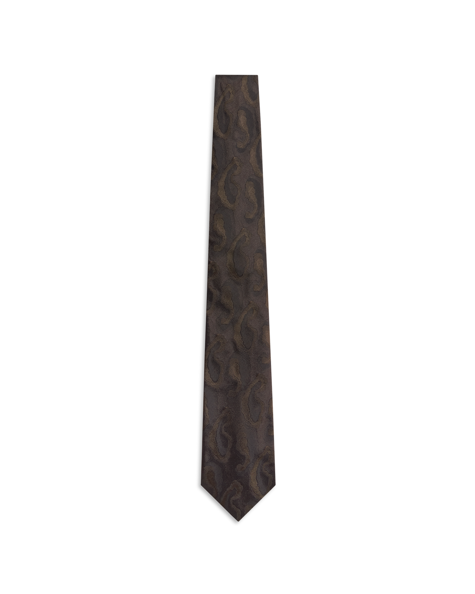 Abstract Paisley Tie