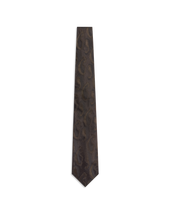 Abstract Paisley Tie - Chocolate