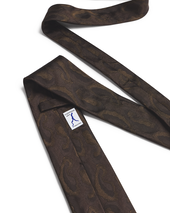 Abstract Paisley Tie