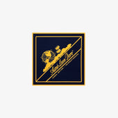 Unisphere Bandana