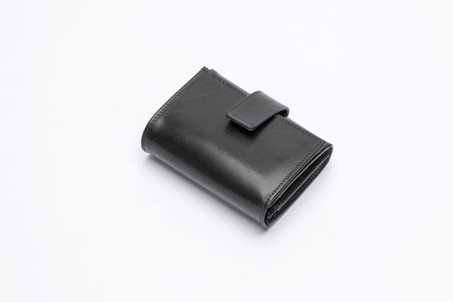 The Albany Bridle Leather Purse