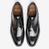 Y-Tip Derby - Black - Blake Line