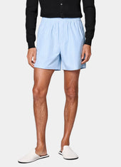 Striped Straight Leg Shorts