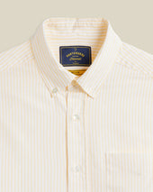 BELAVISTA STRIPE - YELLOW