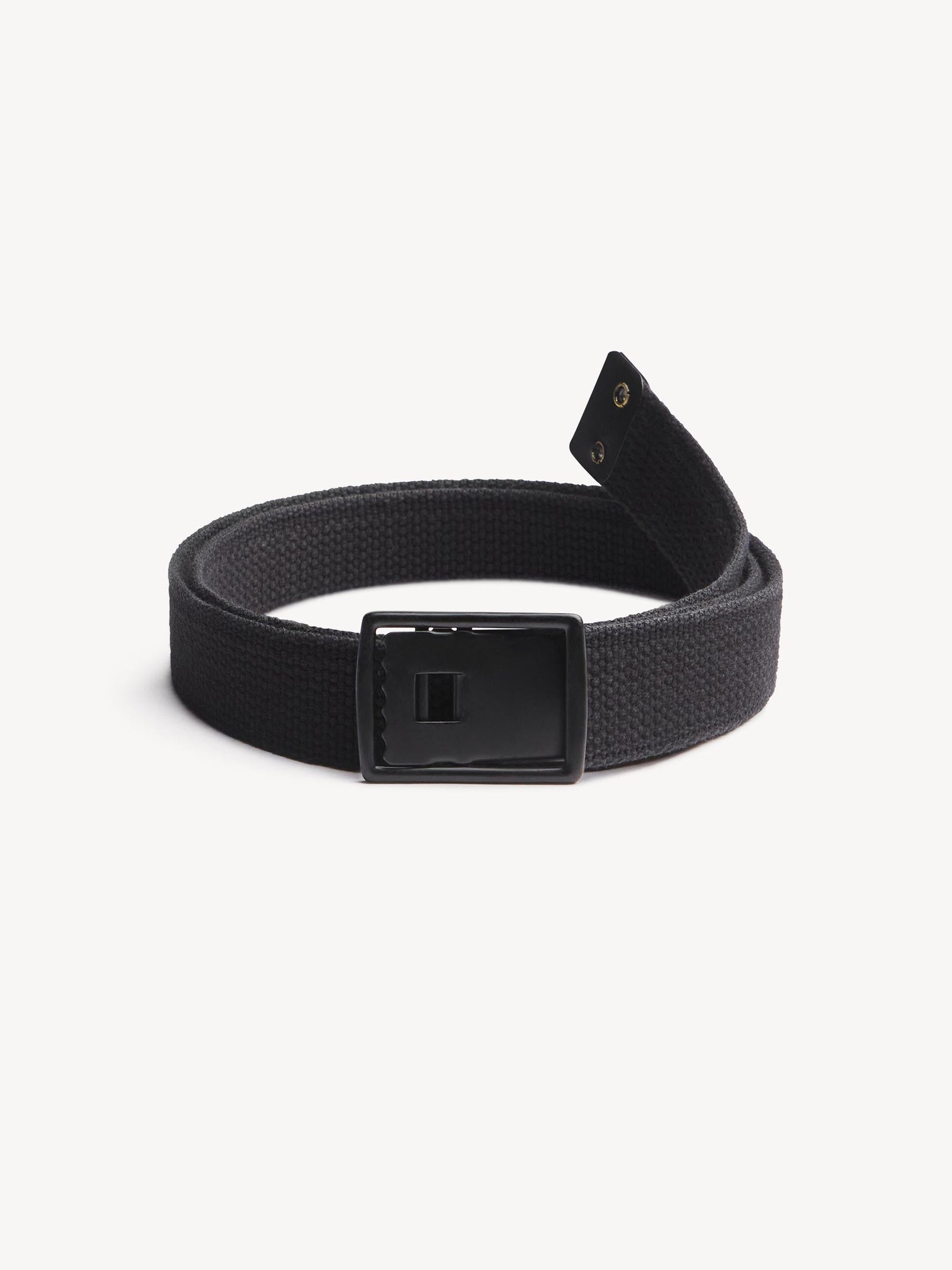 Holdfast Web Belt