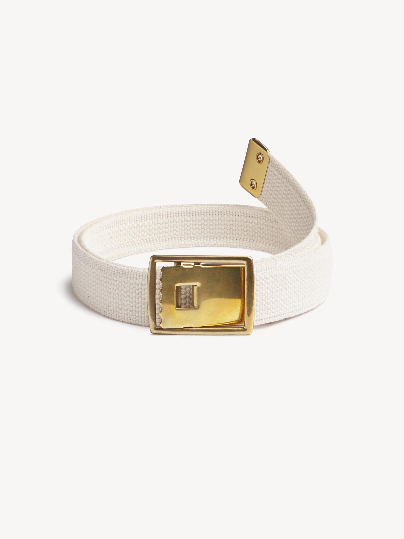 Holdfast Web Belt