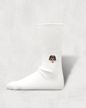 Souvenir Socks Switzerland