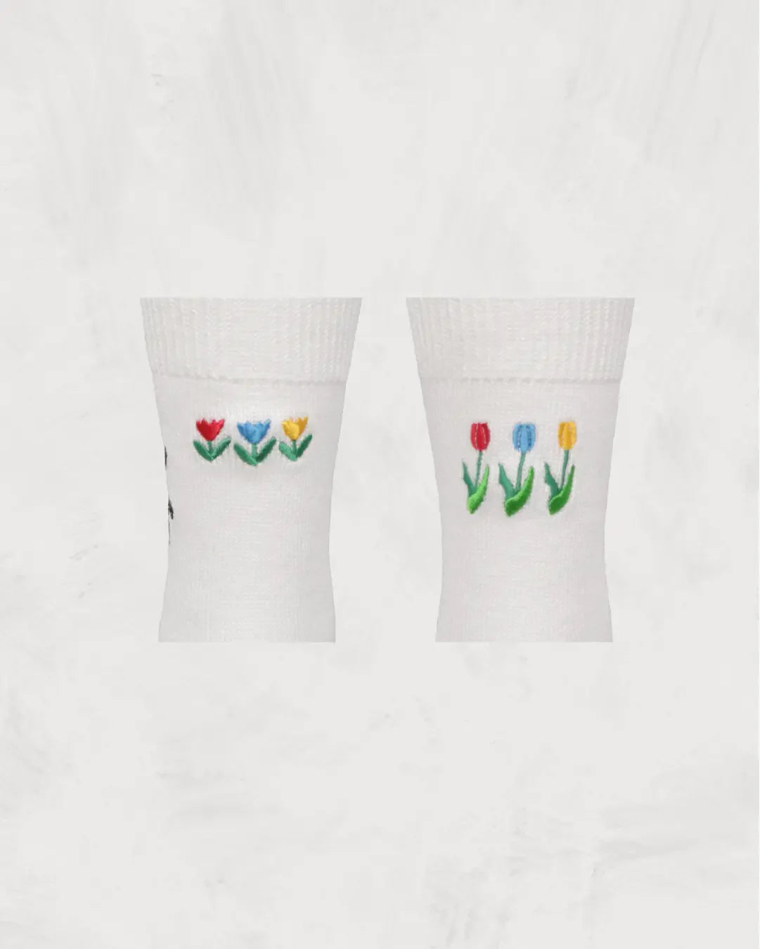 Souvenir Socks Netherlands