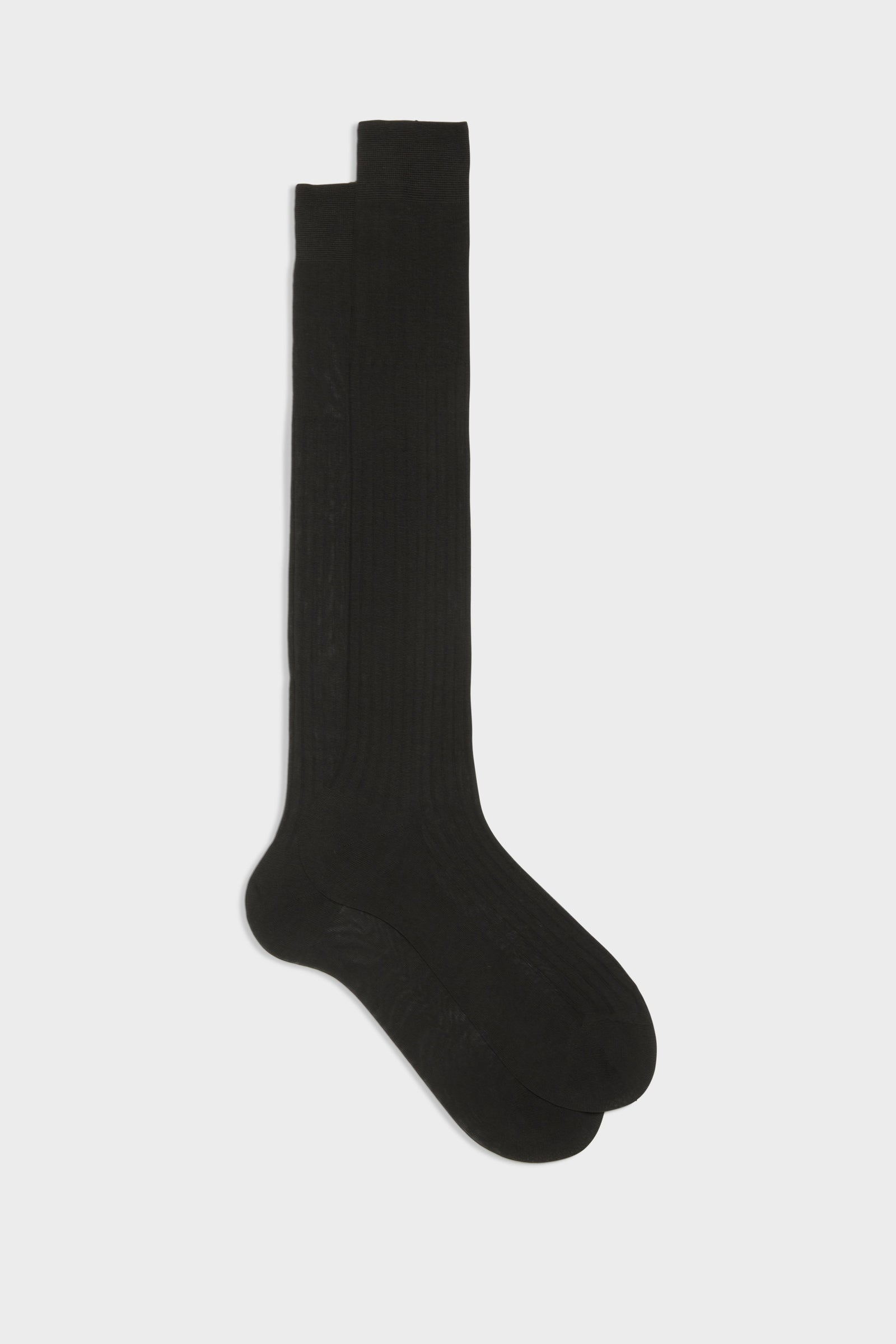 Calza Cesare 100 Cotone Tinta Unita