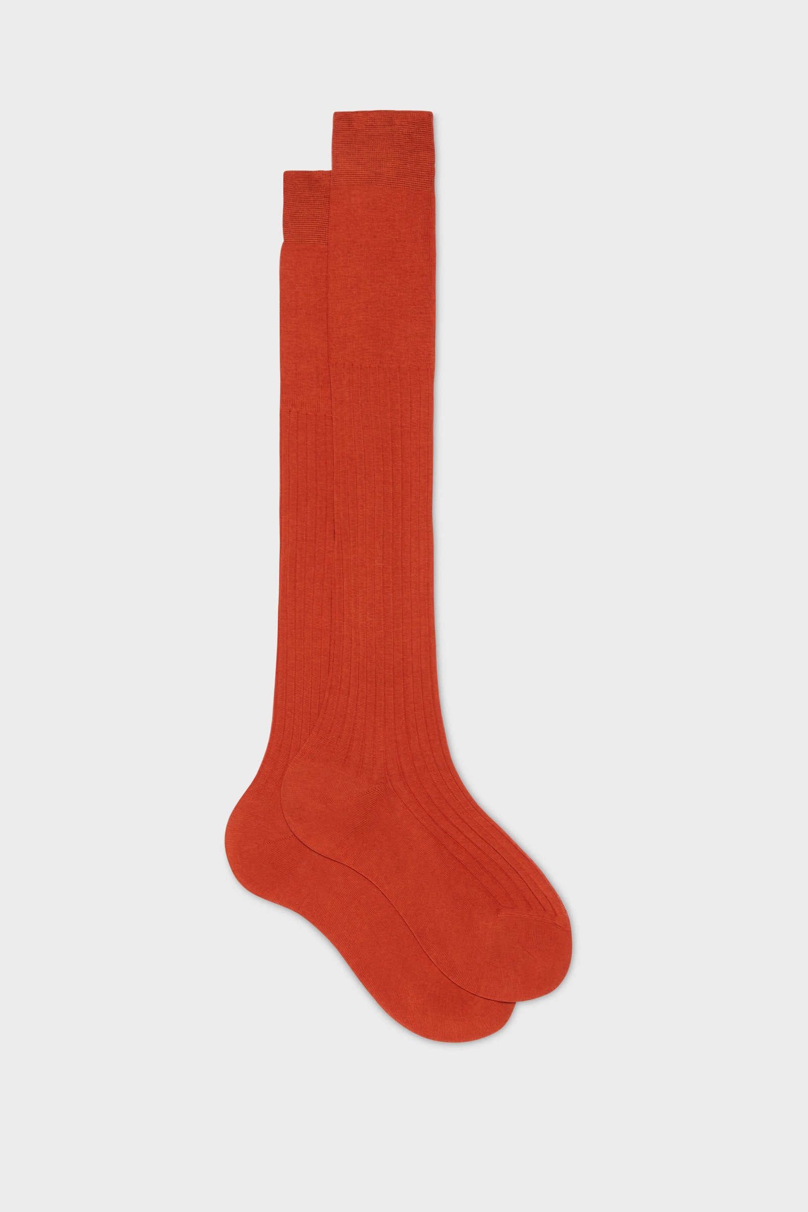 Calza Cesare 100 Cotone Tinta Unita Dark