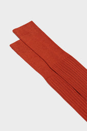 Calza Cesare 100 Cotone Tinta Unita Dark