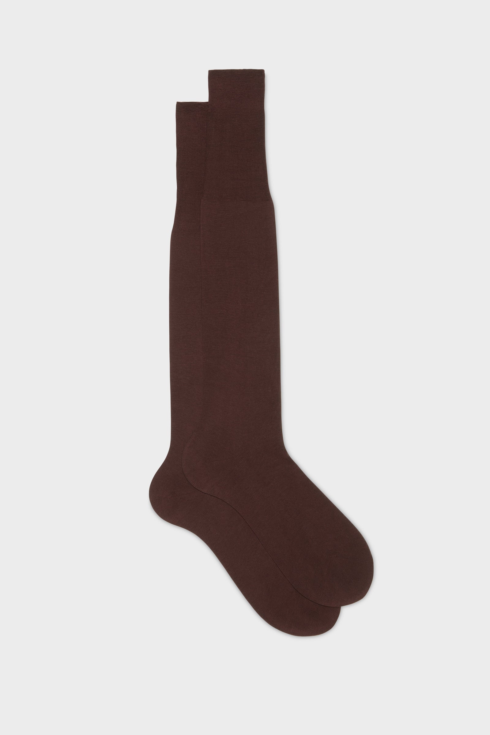 Calza Lorenzo 100 Cotone Tinta Unita