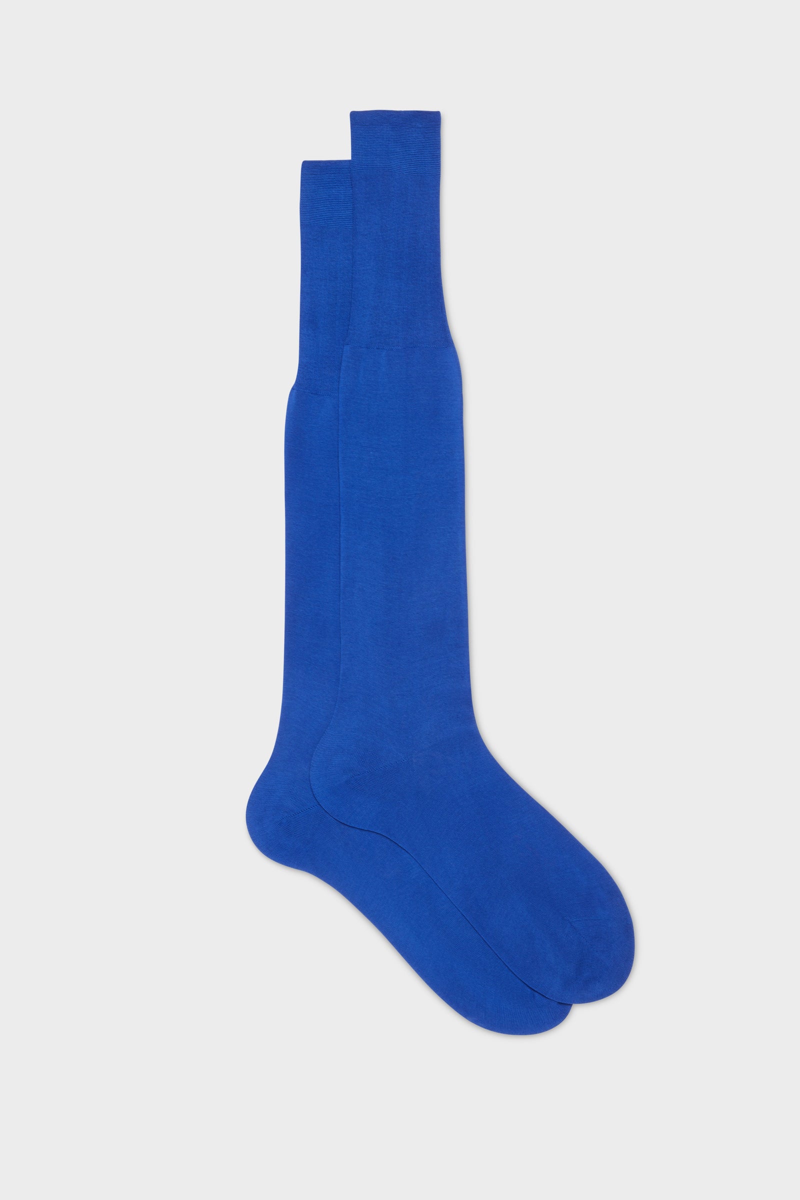Calza Lorenzo 100 Cotone Tinta Unita Electric
