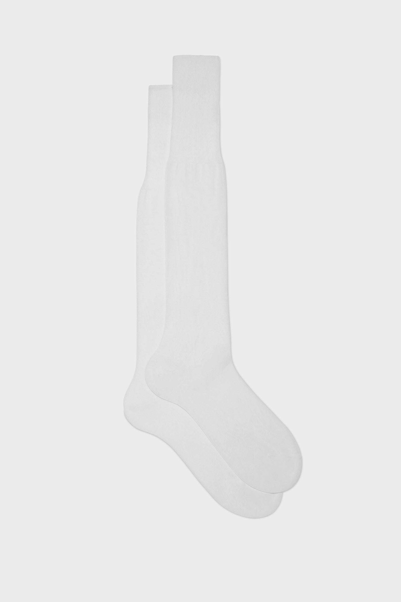 Calza Lorenzo 100 Cotone Tinta Unita
