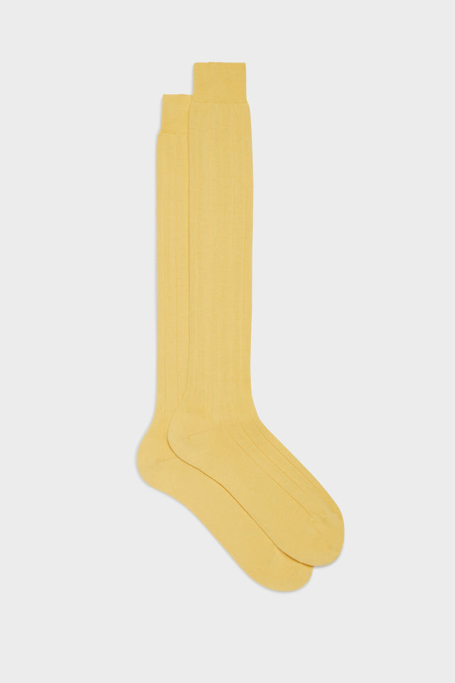 CALZA MASSIMO. 100% COTONE PIMA, TINTA UNITA, BUTTER.