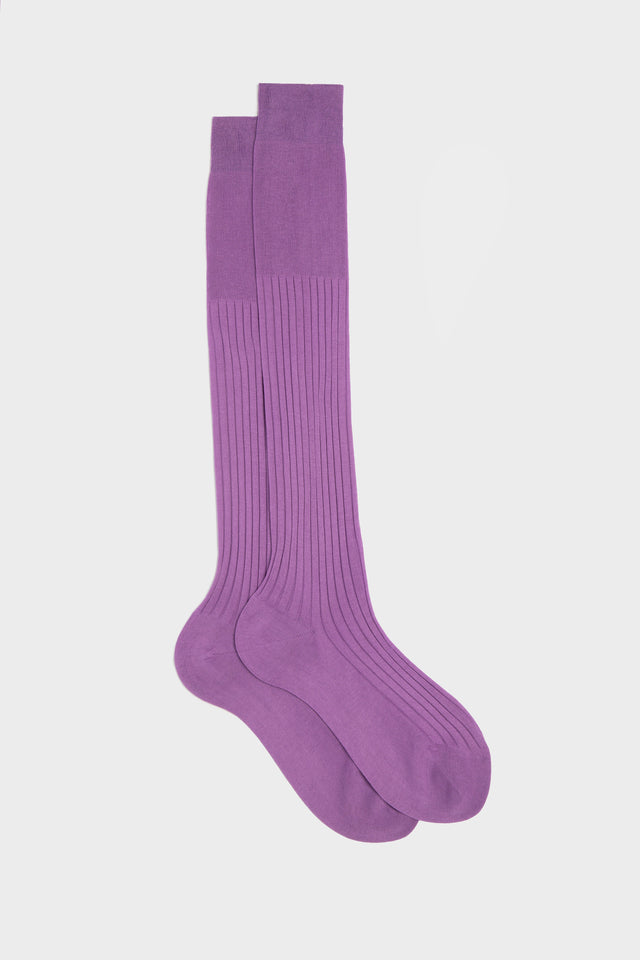 CALZA CESARE, 100% COTONE, LILAC.