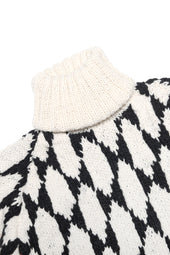 Butterfly Wing Turtleneck Pullover X