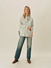 Aloe Field Stripe Big Oxford BD Shirt