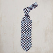 Bold Paisley Tie In Blue