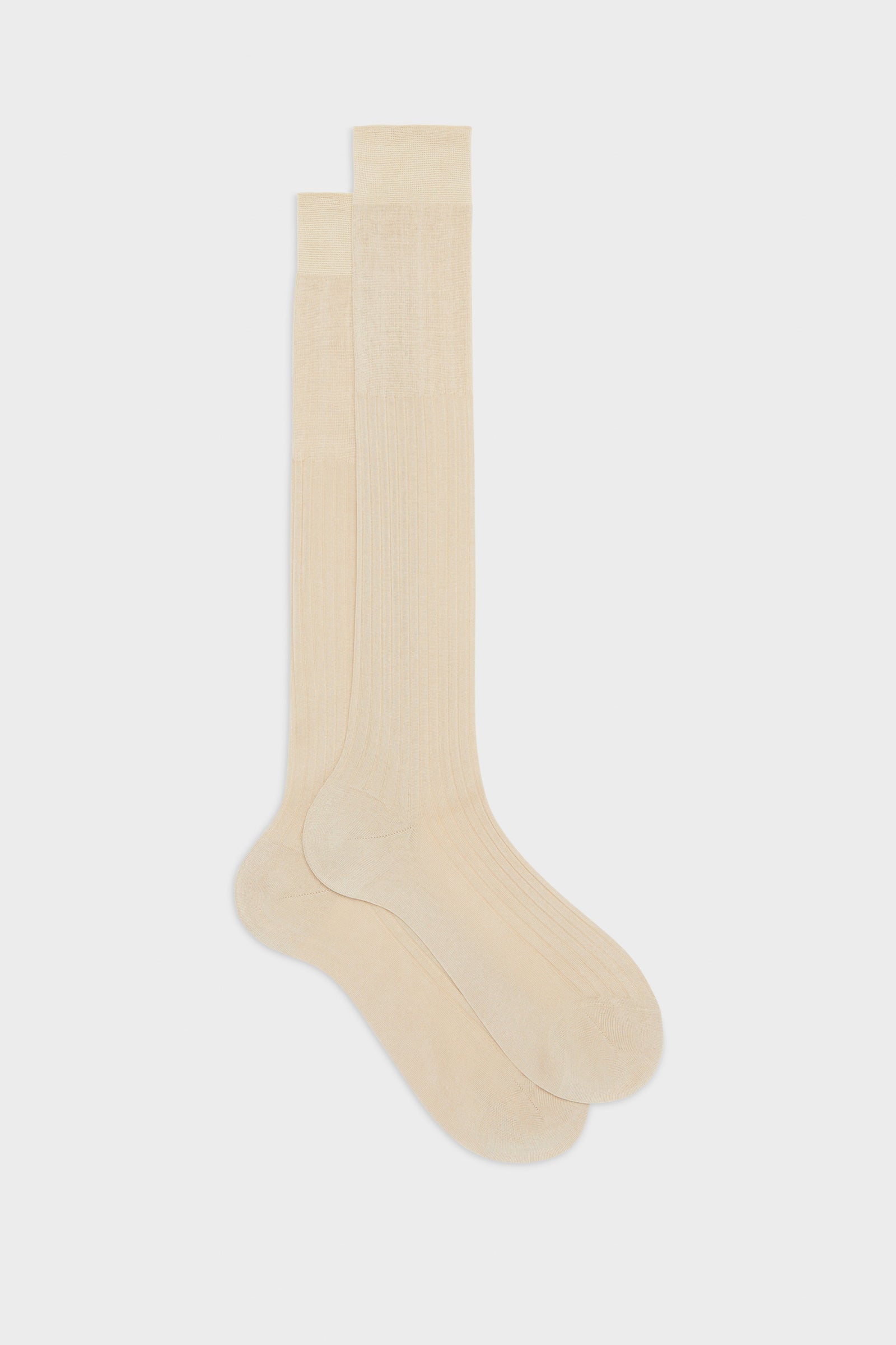 Calza Cesare 100 Cotone Tinta Unita