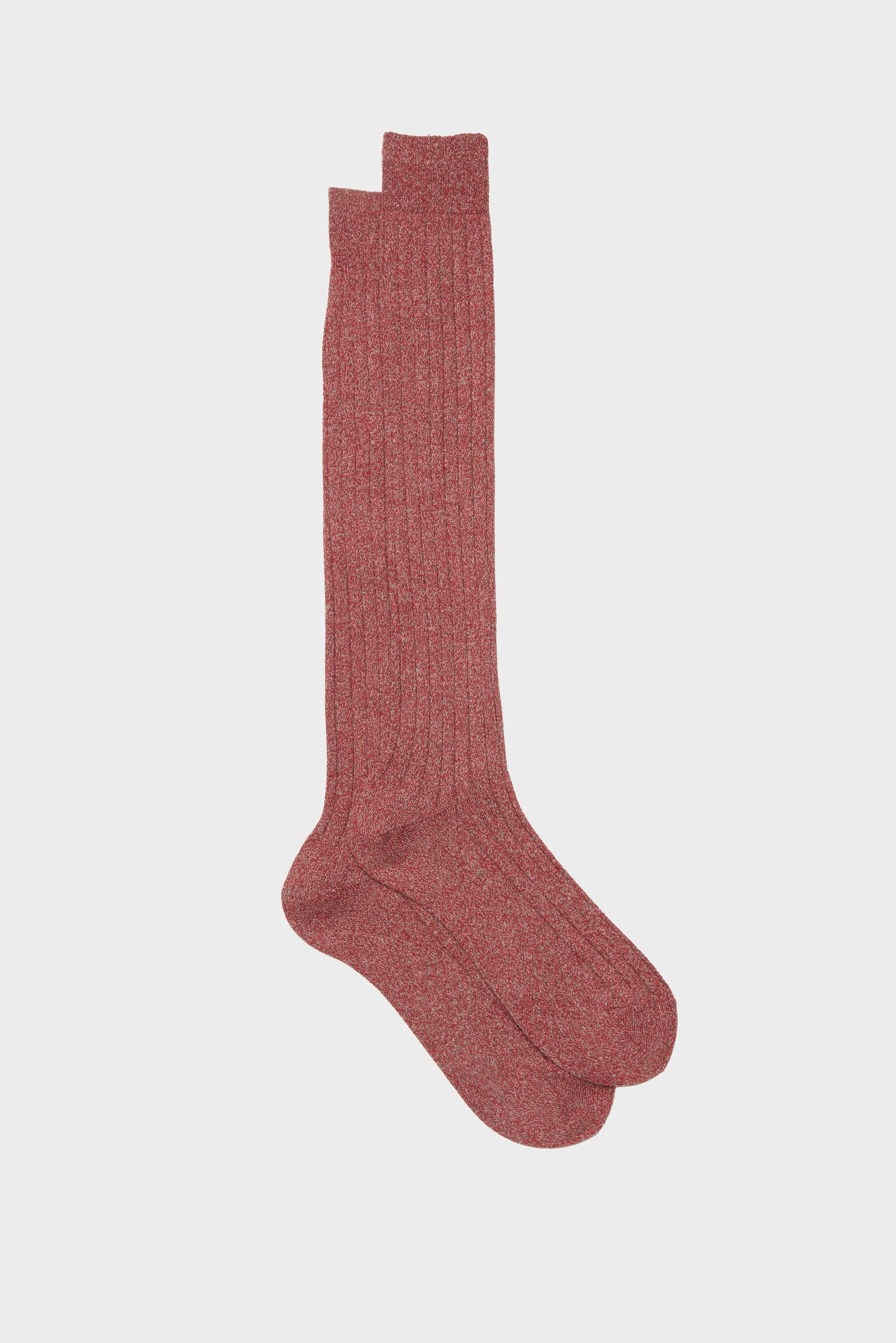 Calza Virgilio 100 Cotone Bordeaux