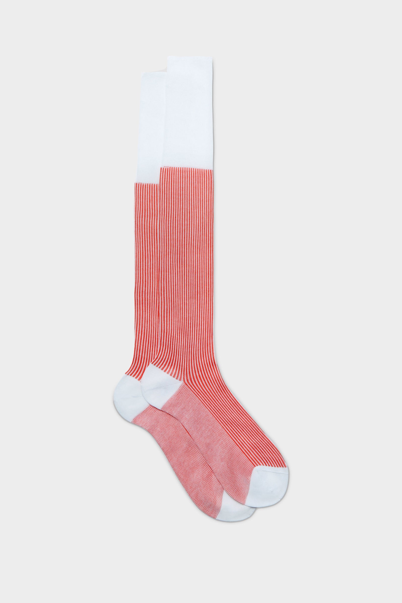 Calza Enea 100 Cotone White Red Coral