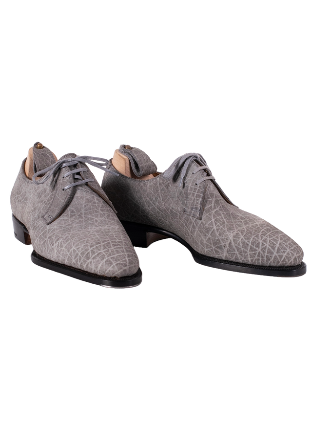 Three Eyelet Derbies in Hippo