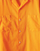 Citrus Sheer Shirt