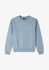 Standard Item Overdye sweatshirt (M)
