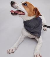 Toutou Bandana