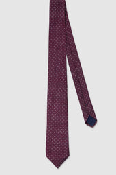 Nereo burgundy silk tie